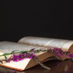Como a leitura auxilia na vida profissional